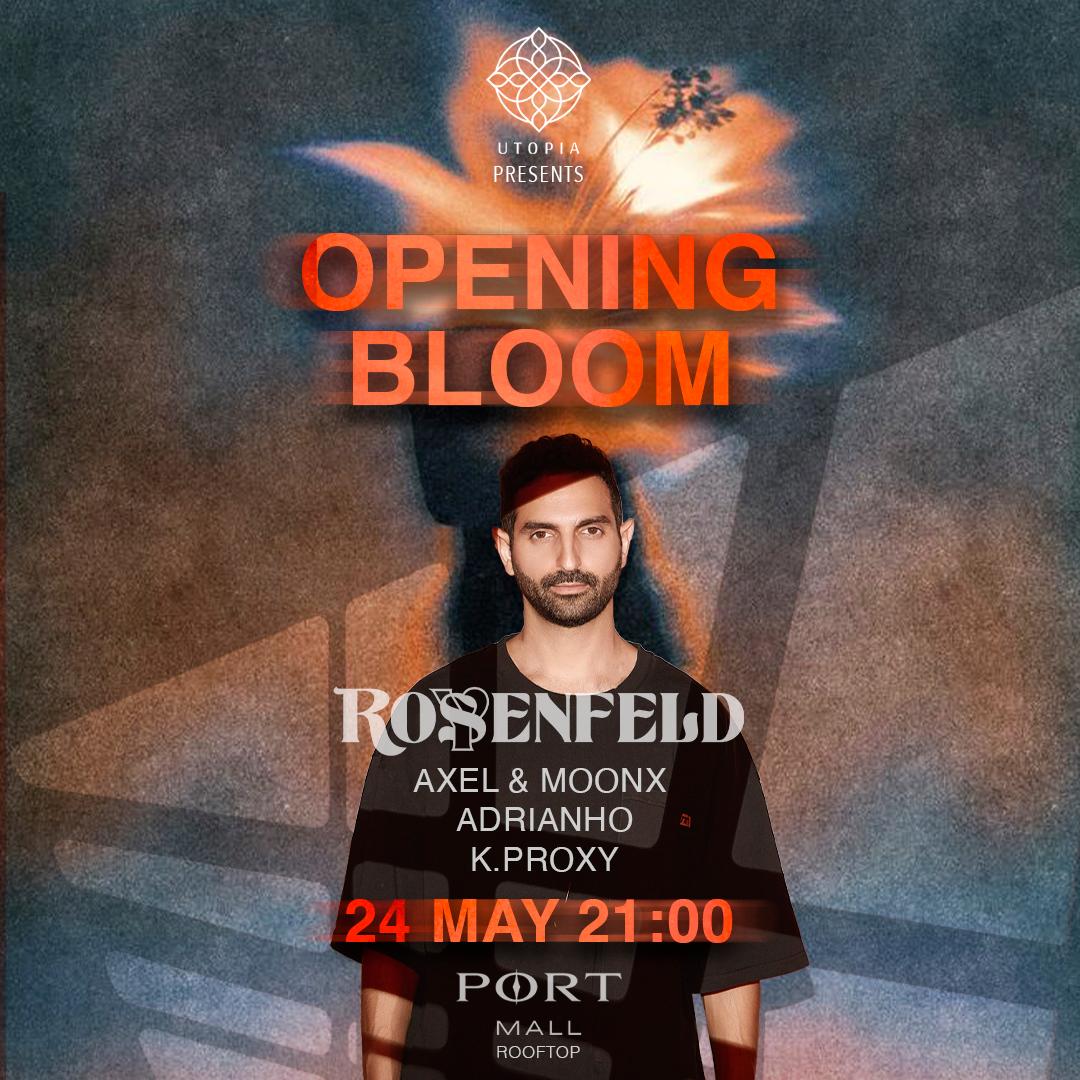 Opening Bloom | Summer Begins 