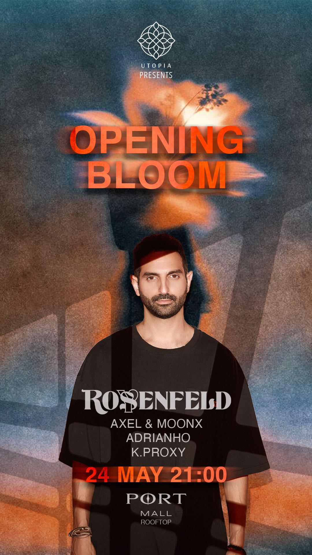 Opening Bloom | Summer Begins 
